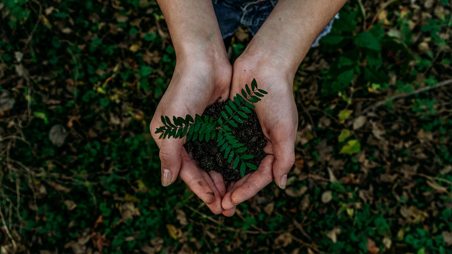 noah-buscher-x8ZStukS2PM-unsplash